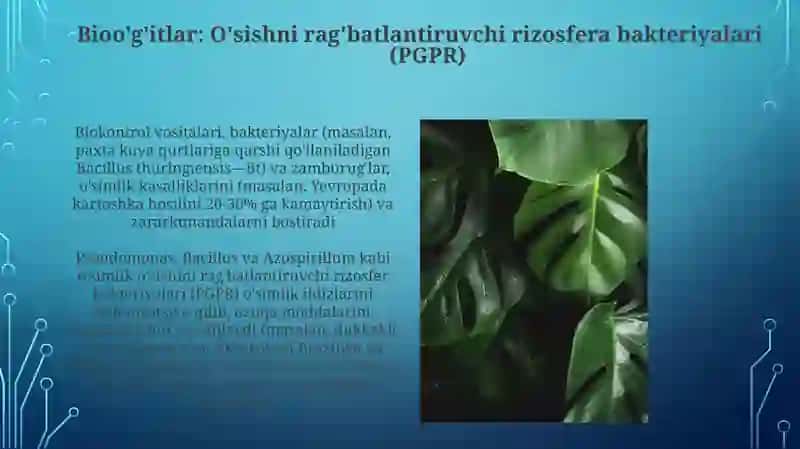 Mikroorganizmlarning qishloq xoʻjaligida 3