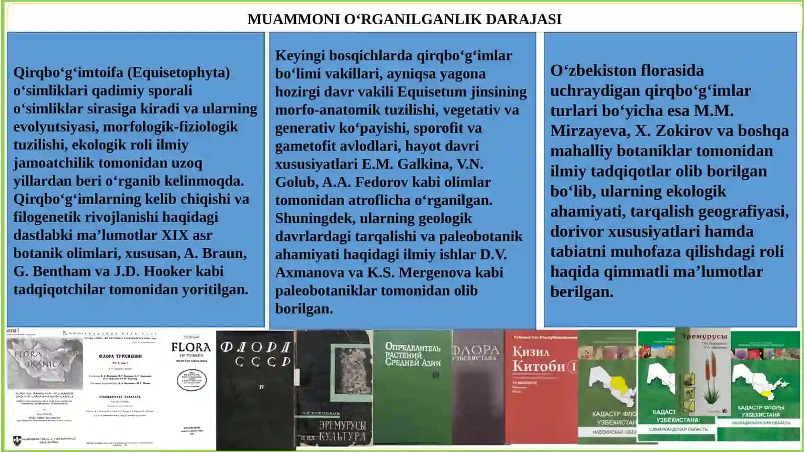 QIRQBO'G'IMTOIFA (EQUISETOPHYTA) O'SIMLIKLAR BO'LIMI EVOLUTSIYASI,ASOSIY SINF VA VAKILLARI, TUZILISHI,AHAMIYATI 3