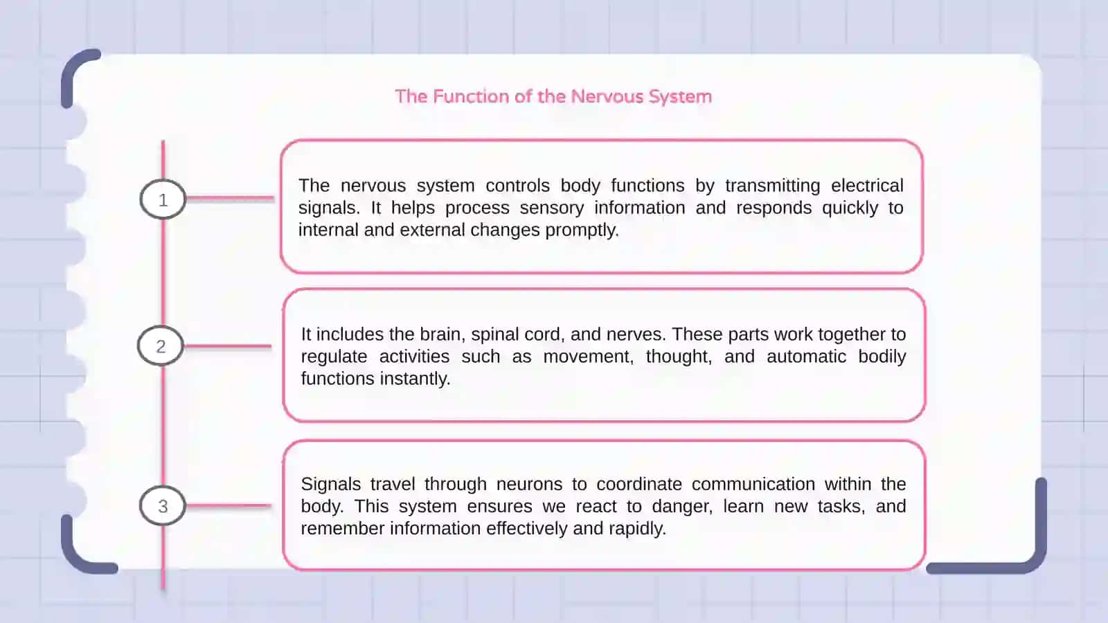 The Function of the Nervous System 3