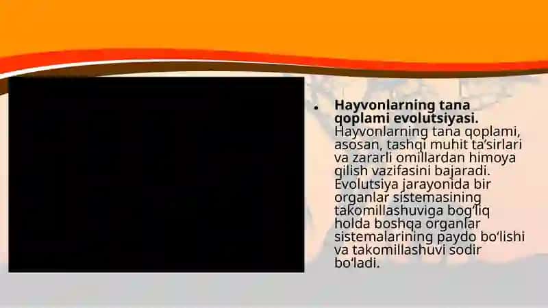 Hayvonlarning tana qoplami va harakat organlari evolutsiyasi 3