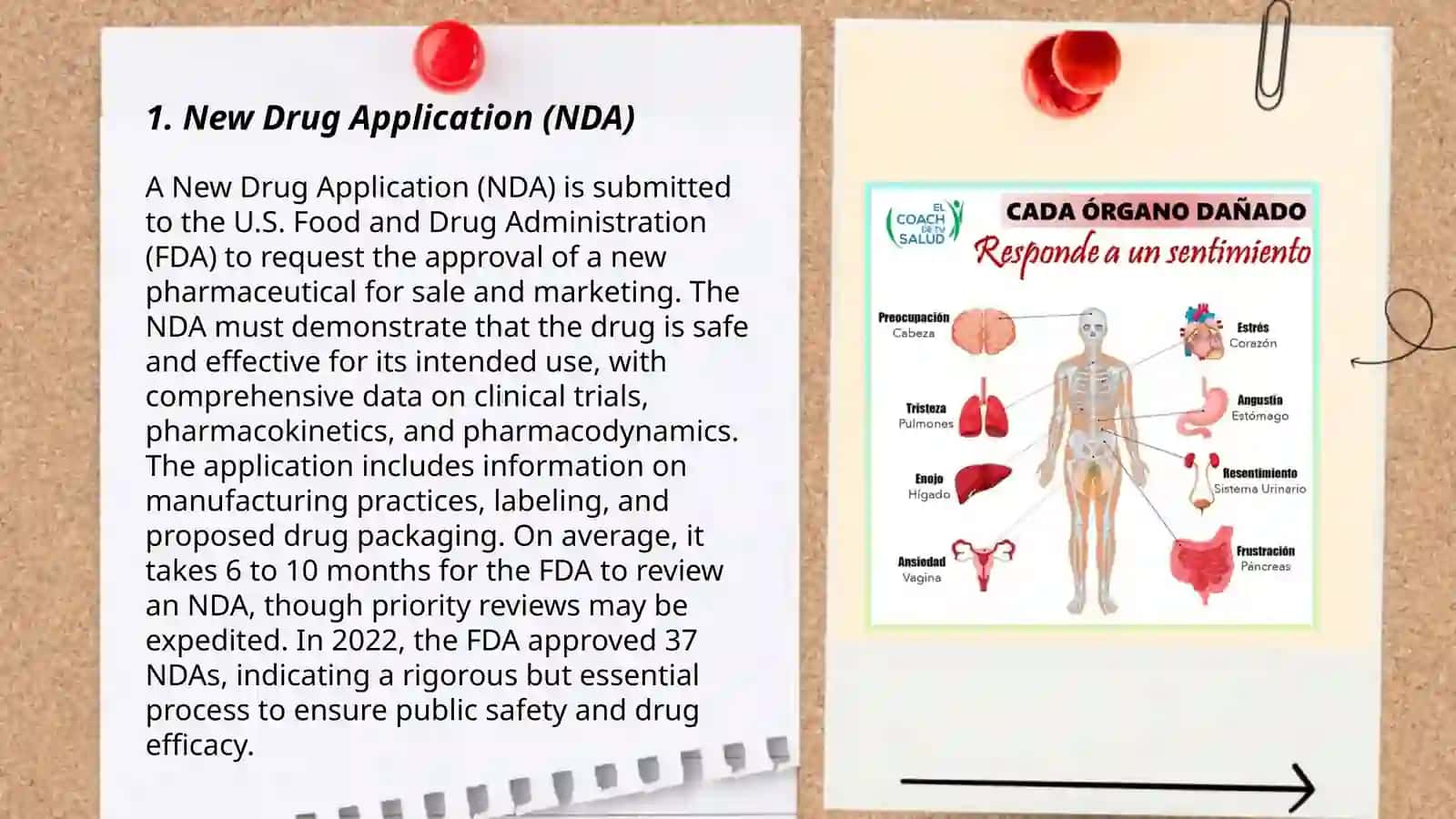 Regulatory Documents for Medicinal Products 3