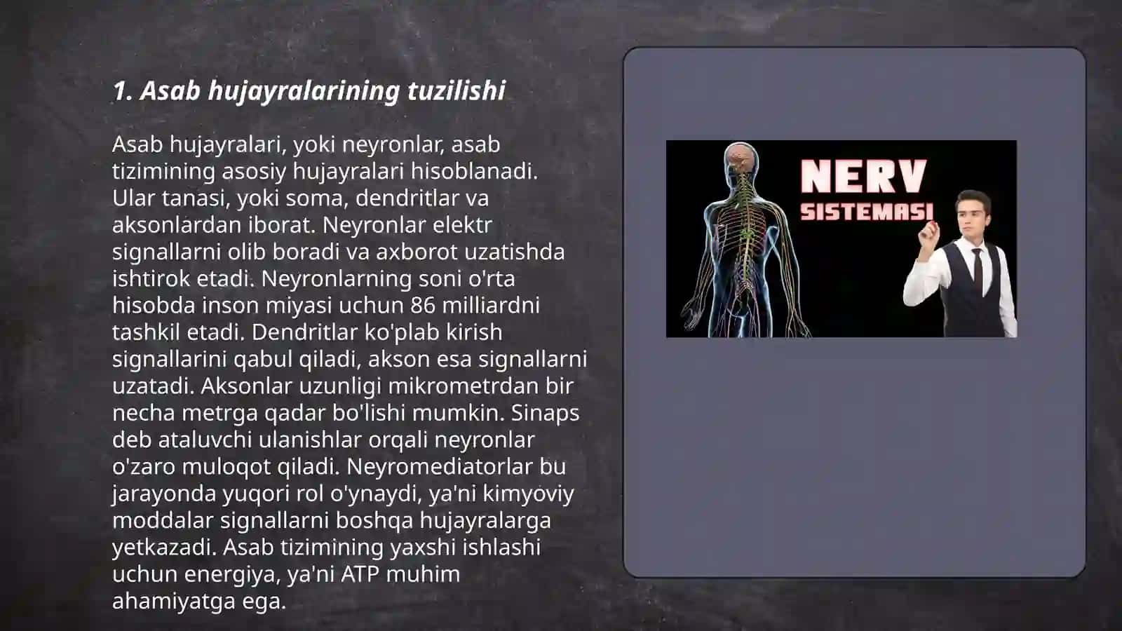 Odam nerv tizimining tuzilishi va funksiyasilari 3