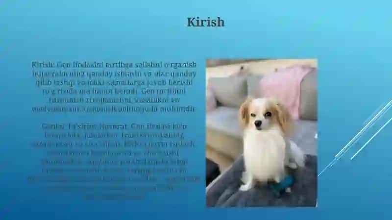Genlar TaʼSirining Boshqarilishi, Hujayra Differensirovkasi 3