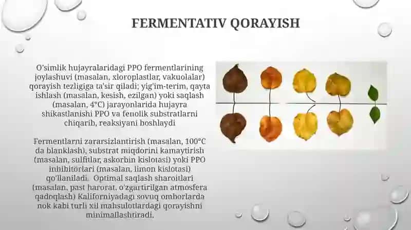 Sariqlashishning Biokimyoviy Yo'llari 3