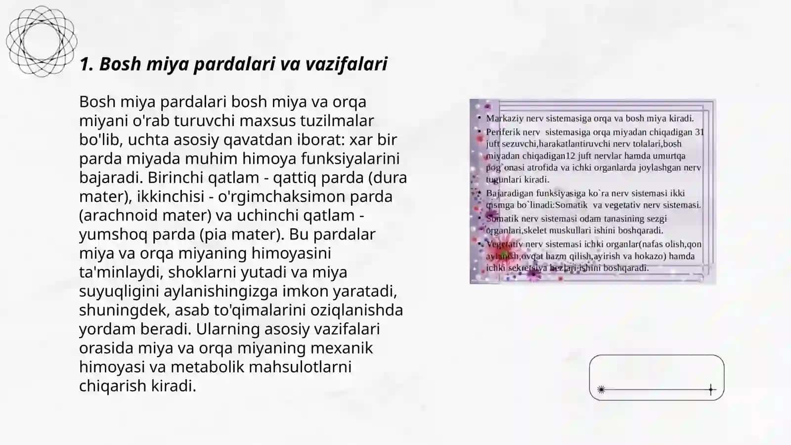 Bosh miya pardalarining vena boʻshliqlari va sistemalari 3