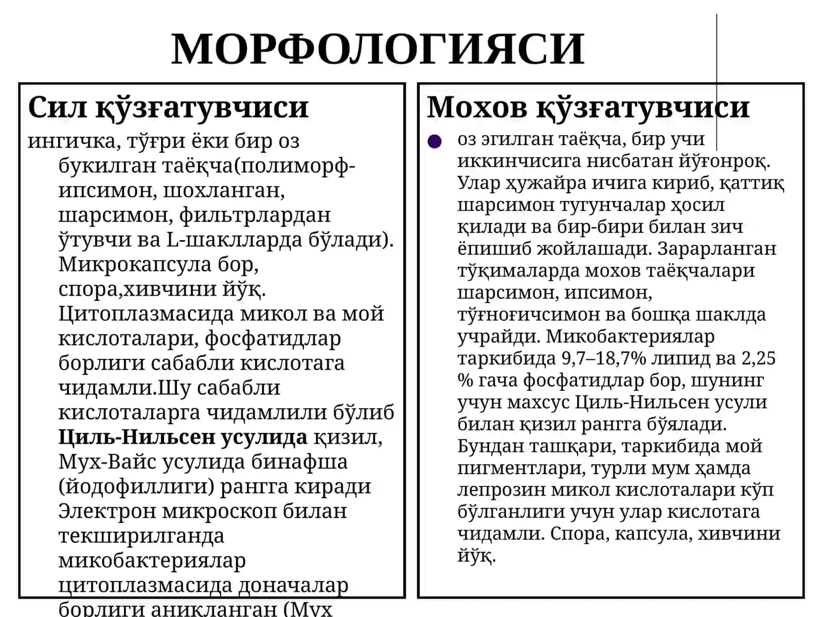 МИКОБАКТЕРИЯЛАР: СИЛ ВА МОХОВ 3