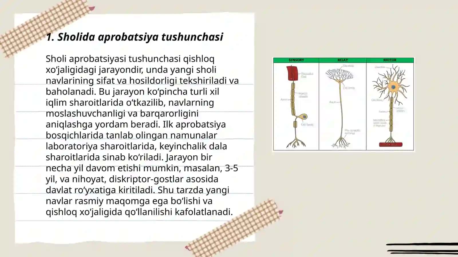 Sholida aprobatsiya oʻtkazish tartibi 3