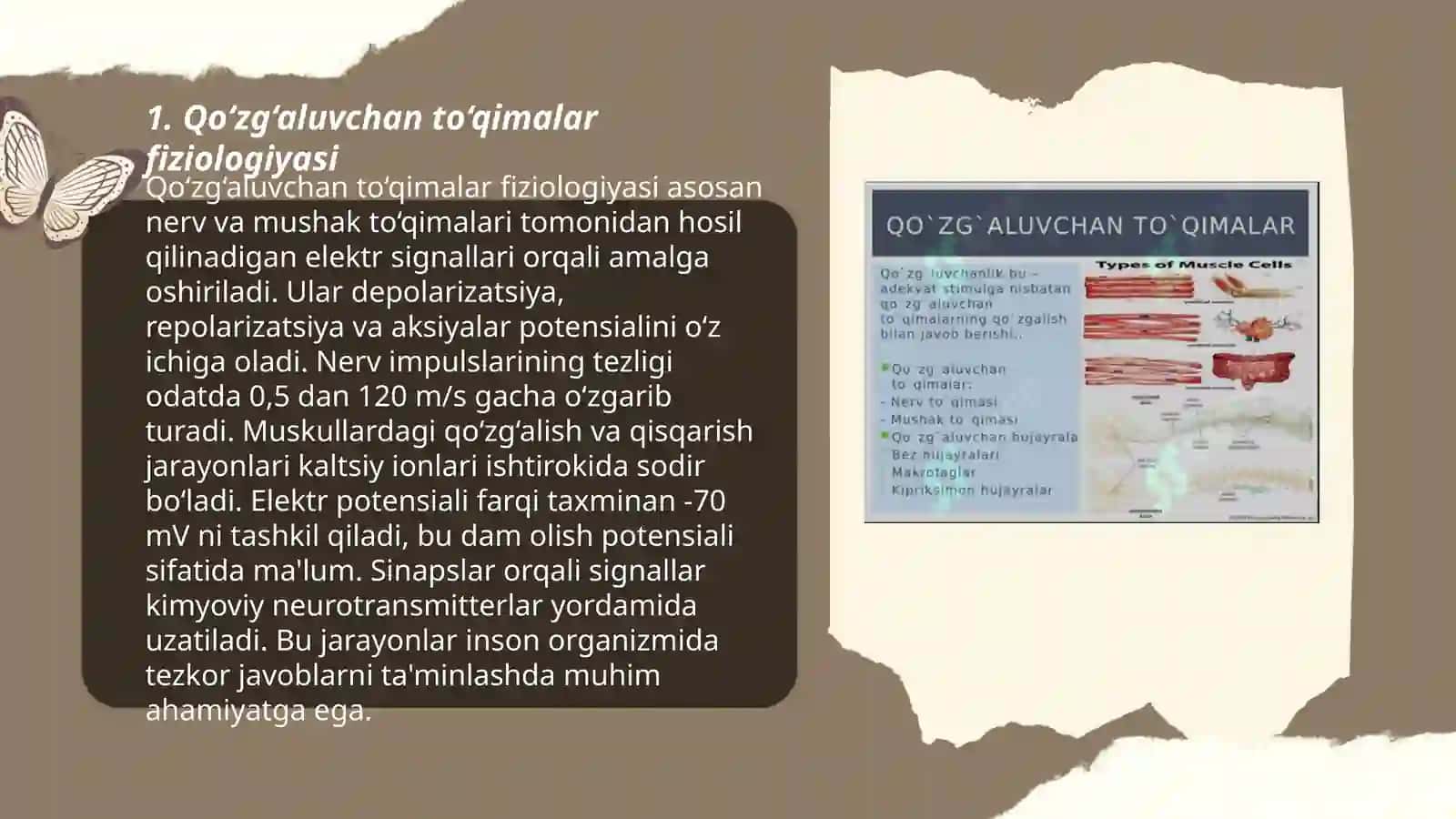Qo‘zg‘aluvchan to‘qimalar fiziologiyasi.Tinchlik va qo‘zg‘alish potensiallari.Ta‘sirotning bo‘sag‘a kuchi ion kanallarining aktivatsiyasi, deaktivatsiya inaktivasiya.Sinapslar fiziologiyasi 3