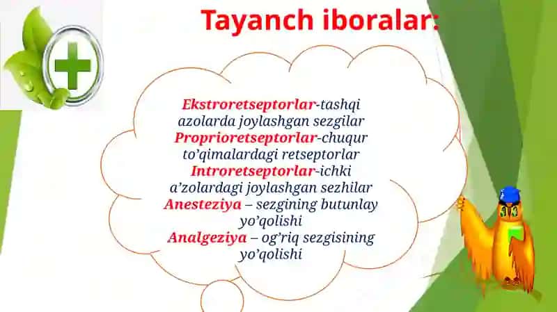 Sezish, harakat qilish va sklet tizimini baholash 3