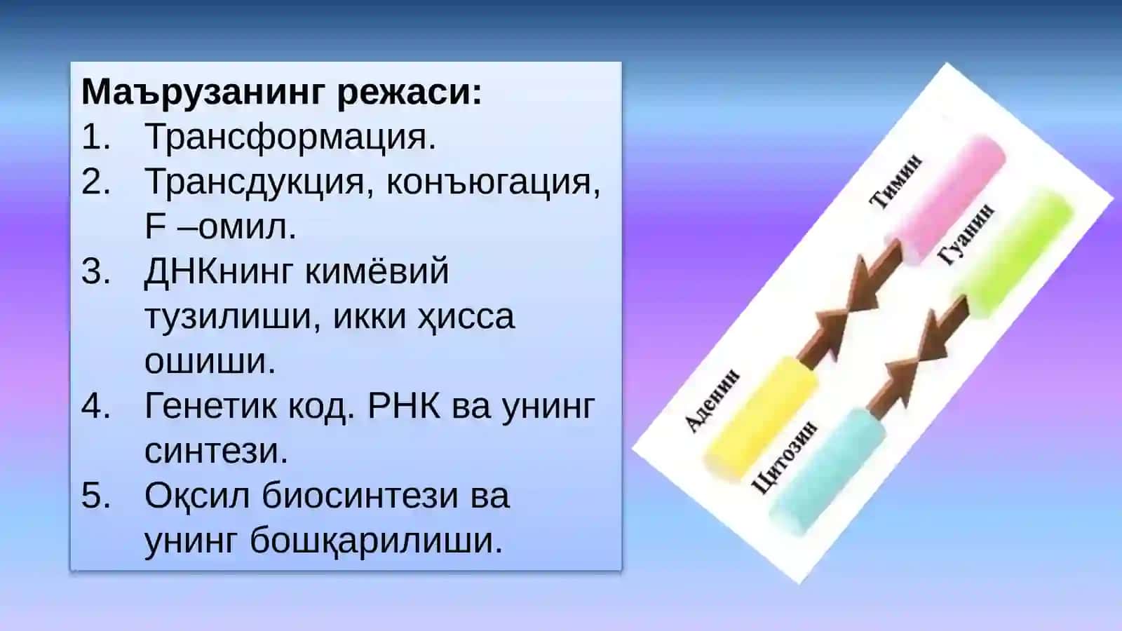 ТИББИЙ БИОЛОГИЯ. УМУМИЙ ГЕНЕТИКА 3