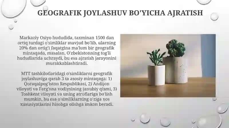 MTT Tashkilotlarida o'rta guruhlarda o'simliklarni ajratish 3