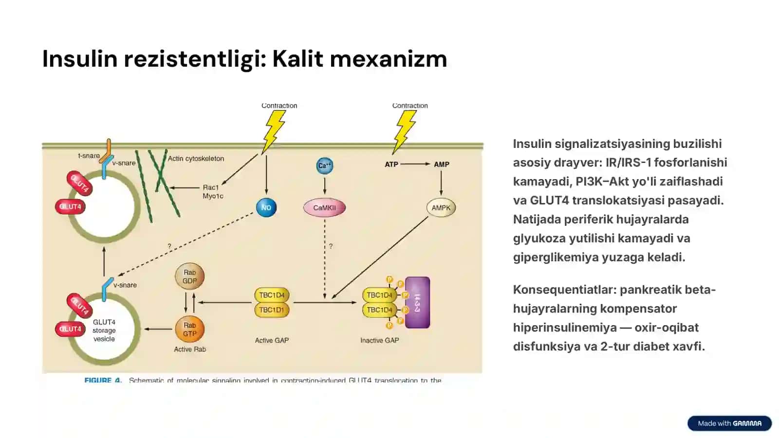 Metabolik sindrom: kelib chiqishi, biokimyoviy asoslari va asoratlari 3