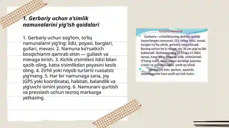 Gerbariy tayyorlash va tayyorlash usullari haqida maʼlumotlar berish 3