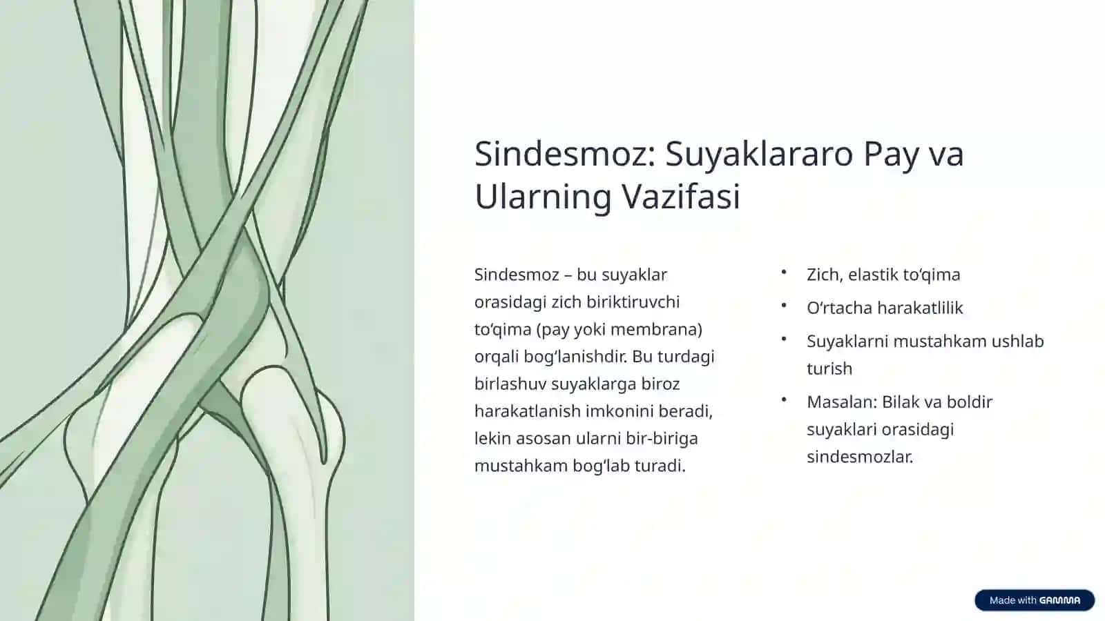 Sindesmoz, Sinxondroz va Sinostoz Birlashuvlari 3