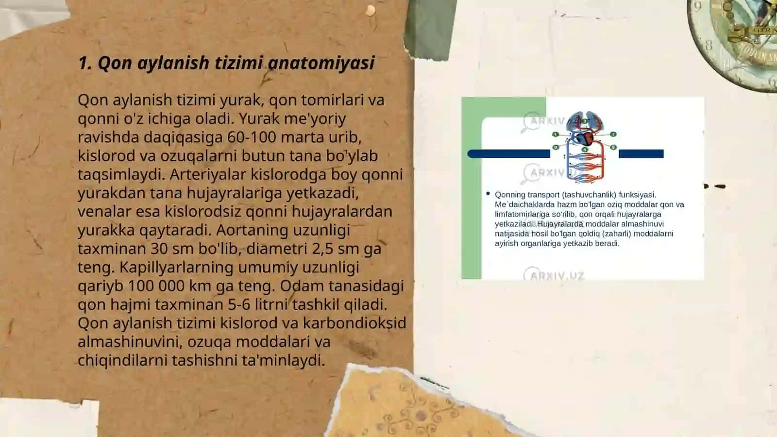 Qon aylanish mexanizimi 3