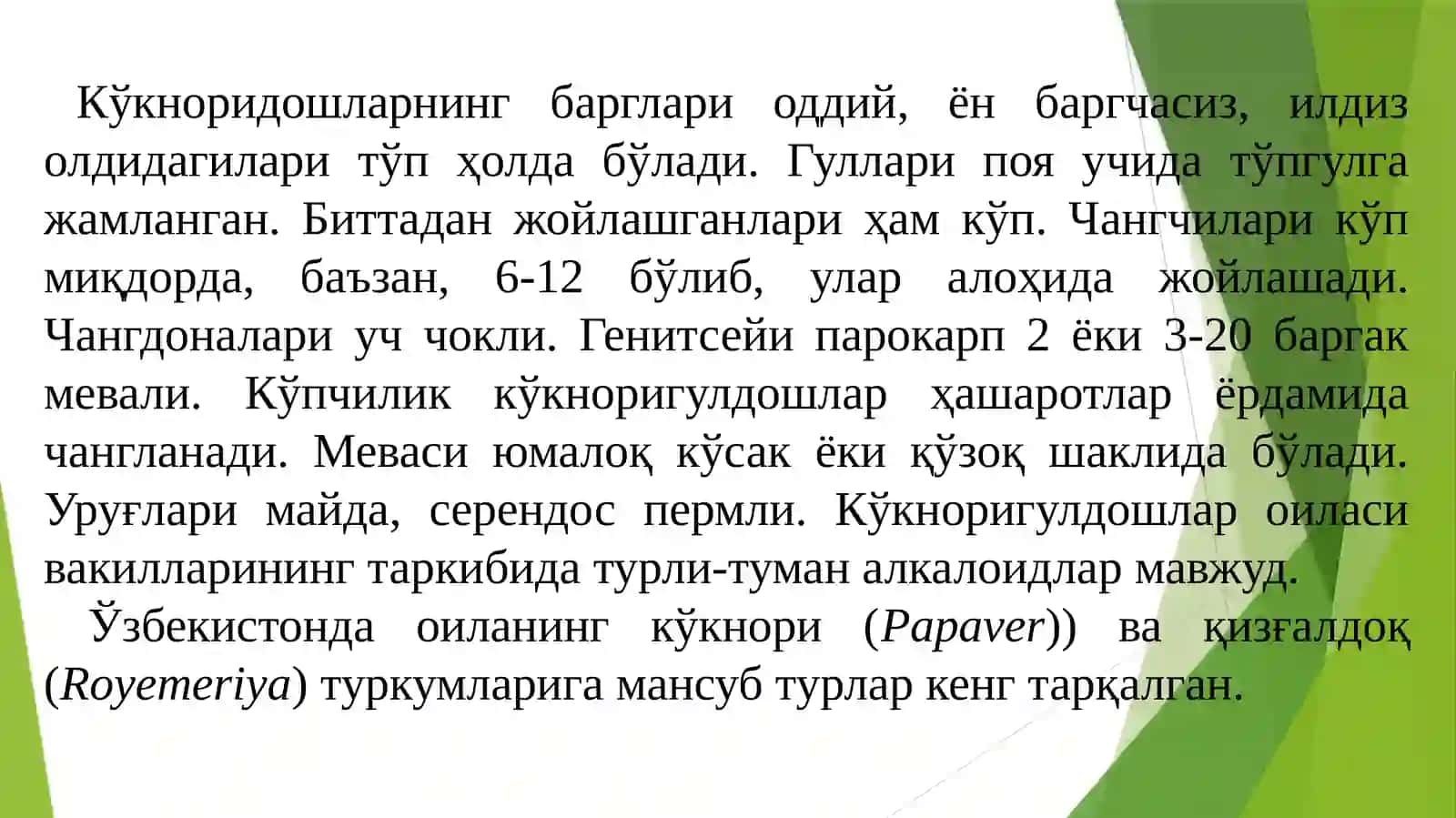 Кўкноридошлар (Papaveraceae) оиласи 3