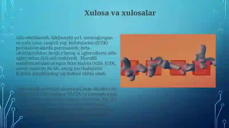 Tarmoqlanmagan Yog' Kislotasi Paralanishi va Fitan kislotasi Metabolizmi 3