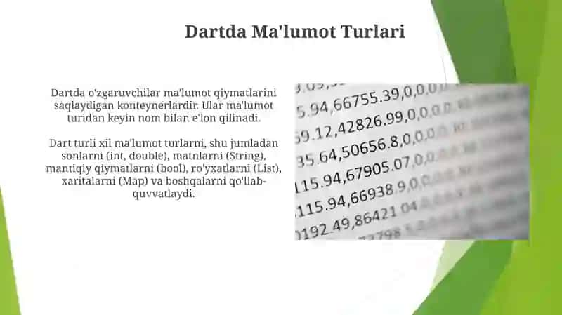 Dartda Ma'lumot Turlari 3
