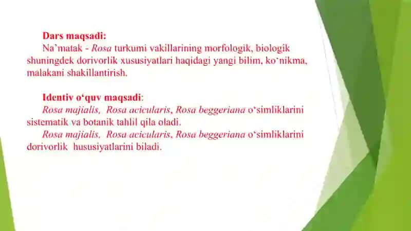 Na’matak-Rosaturkumivauning dorivorlik xususiyatlari 3