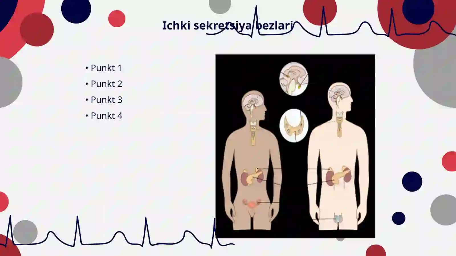 Endokrin sistema anatomiyasi, vazifasi va ularning yoshga doir oʻzgarishlari 3
