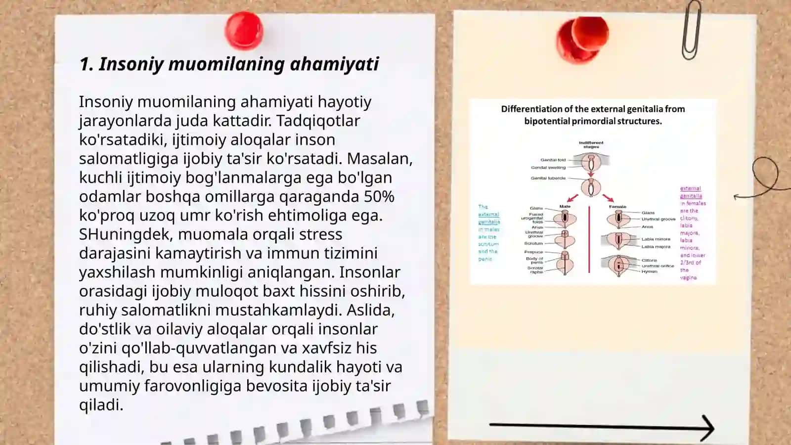 Insoniy Muomila va Muloqotning Psixologik Vositalar 3