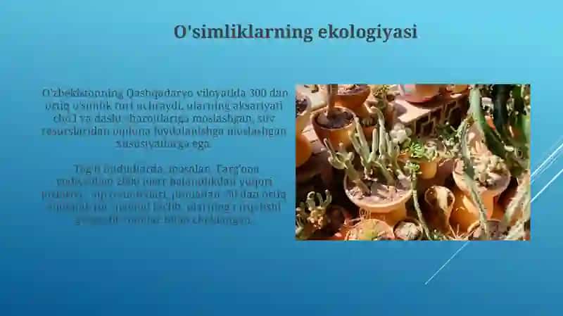 O'simliklar dunyosi va ularning hayot tarzi 3
