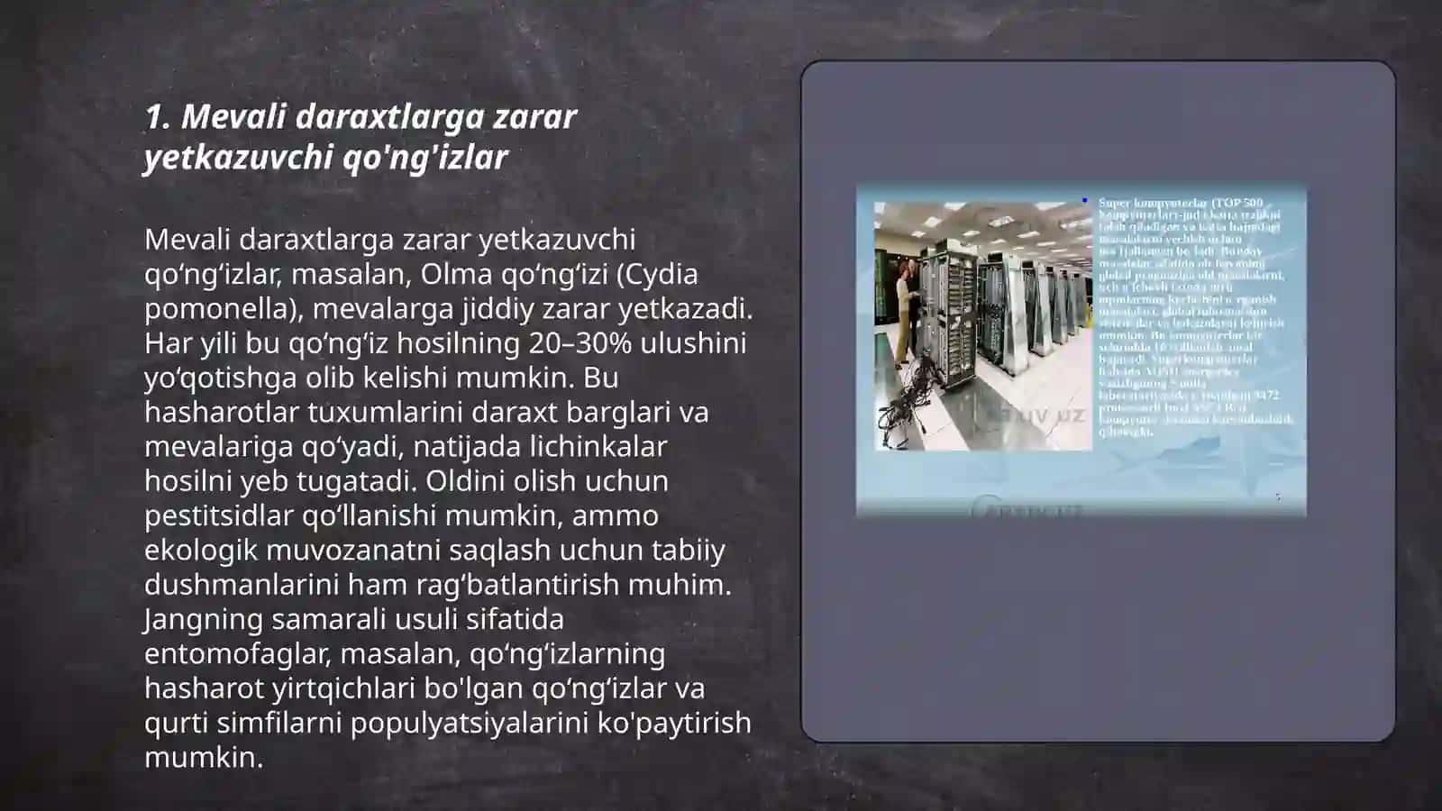 Mevali daraxtlarga zarar yetkazuvchi hashoratlar 3