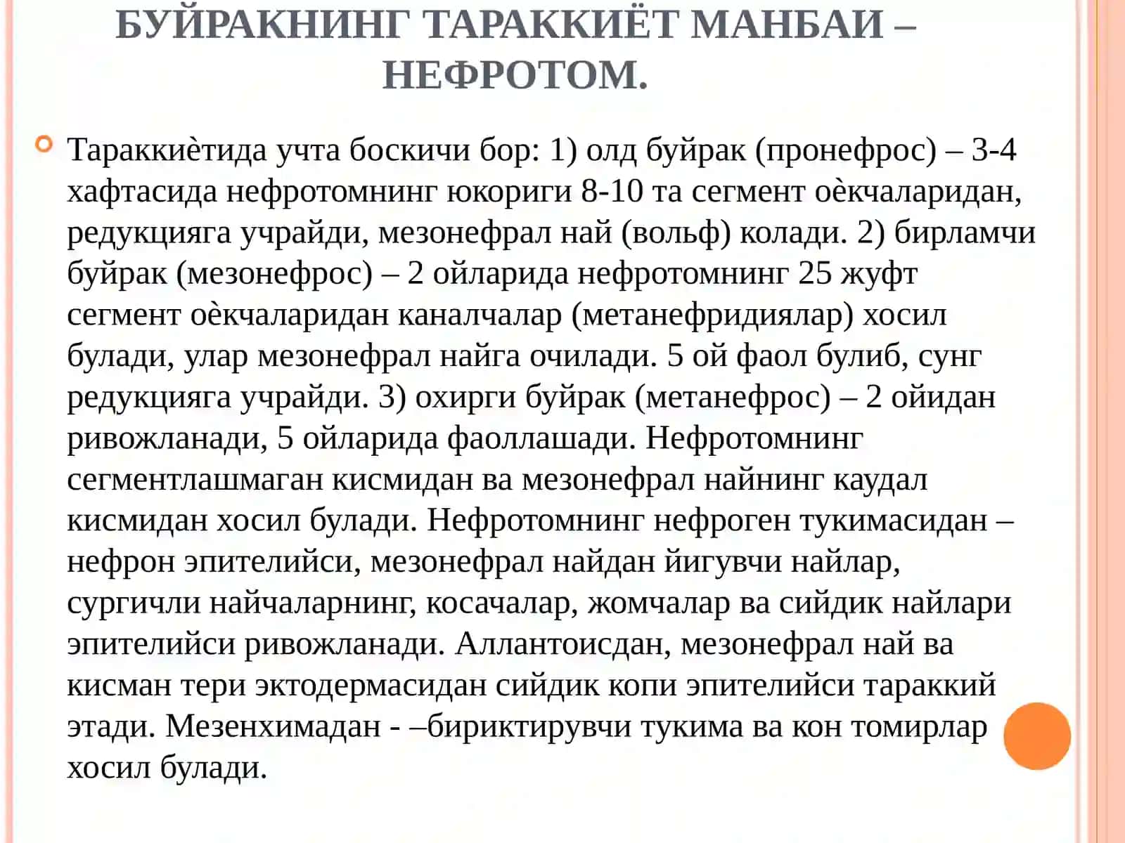 АЙРУВ СИСТЕМАСИ(БУЙРАК,СИЙДИК ЙЎЛИ,ҚОВУҚ,СИЙДИК НАЙИ) 3