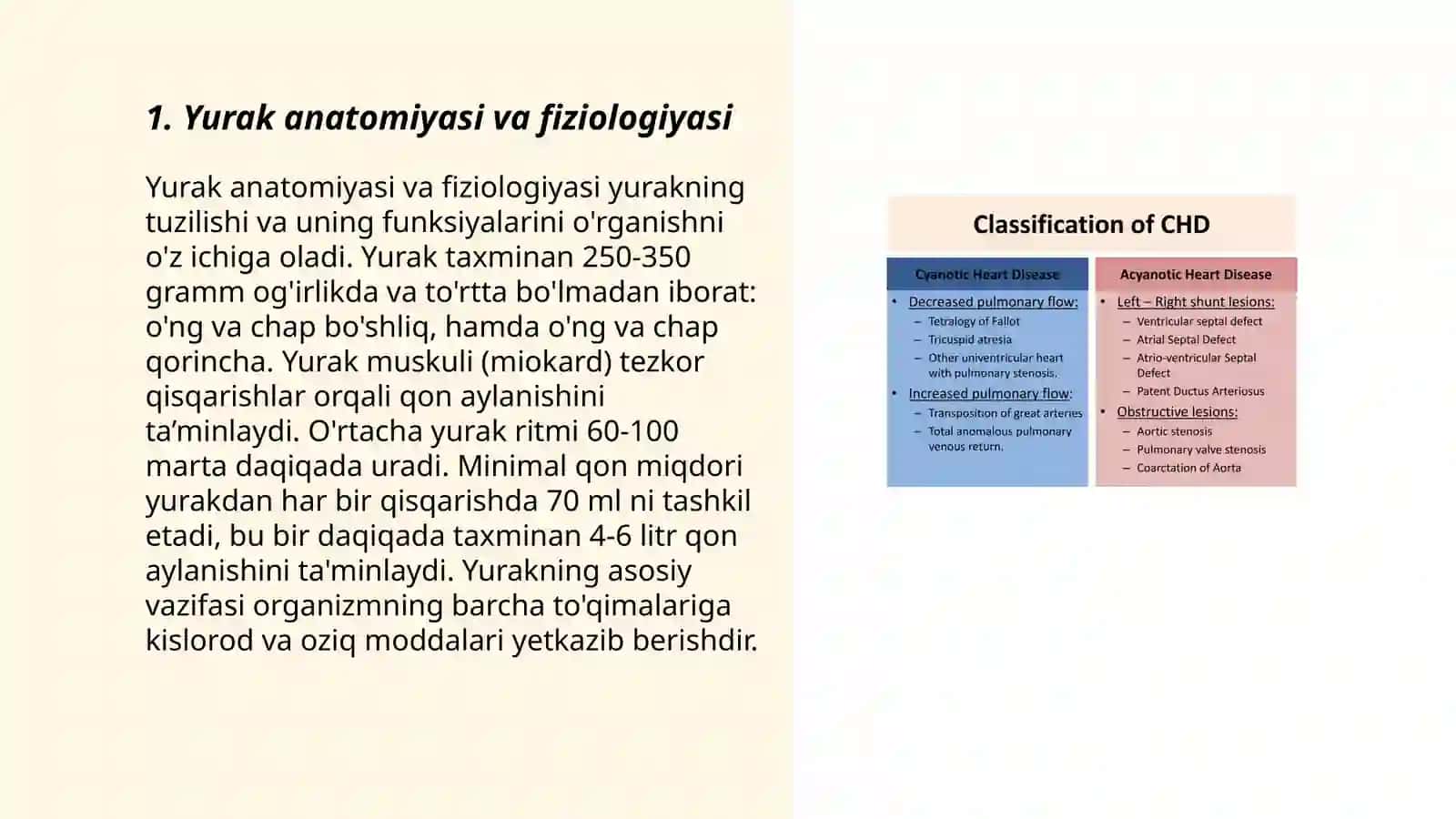 Yurak anatomiyasi va fiziologiyasi 3