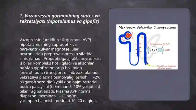 Vazopressin gormonini inson organizmiga ta'siri 3