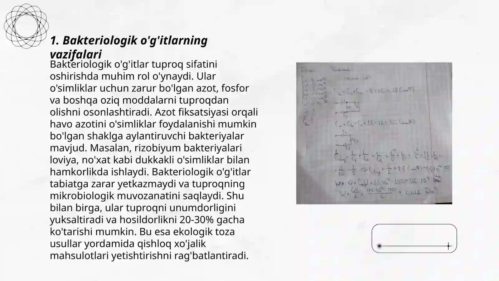 Bakteriologik o'g'itlar va ularning qöllanilishi 3