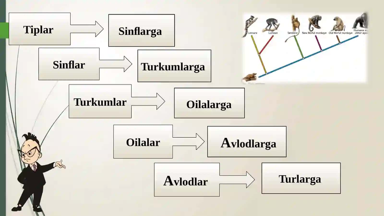 Evolutsion o‘zgarishlarning tiplari 3