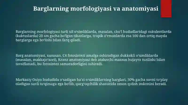 Yuksak o'simliklar va ularni o'ziga xos xususiyati 3
