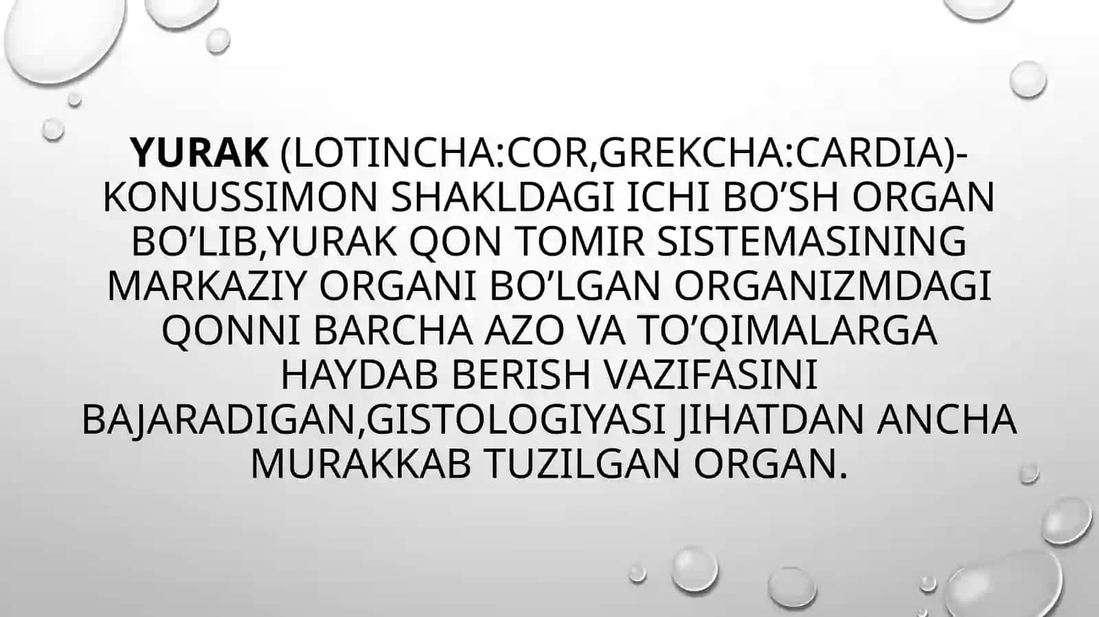 Yurakning rivojlanish nuqsonlari. Yurak va qon tomirlar rentgenanatomiyasi, angiografiya 3