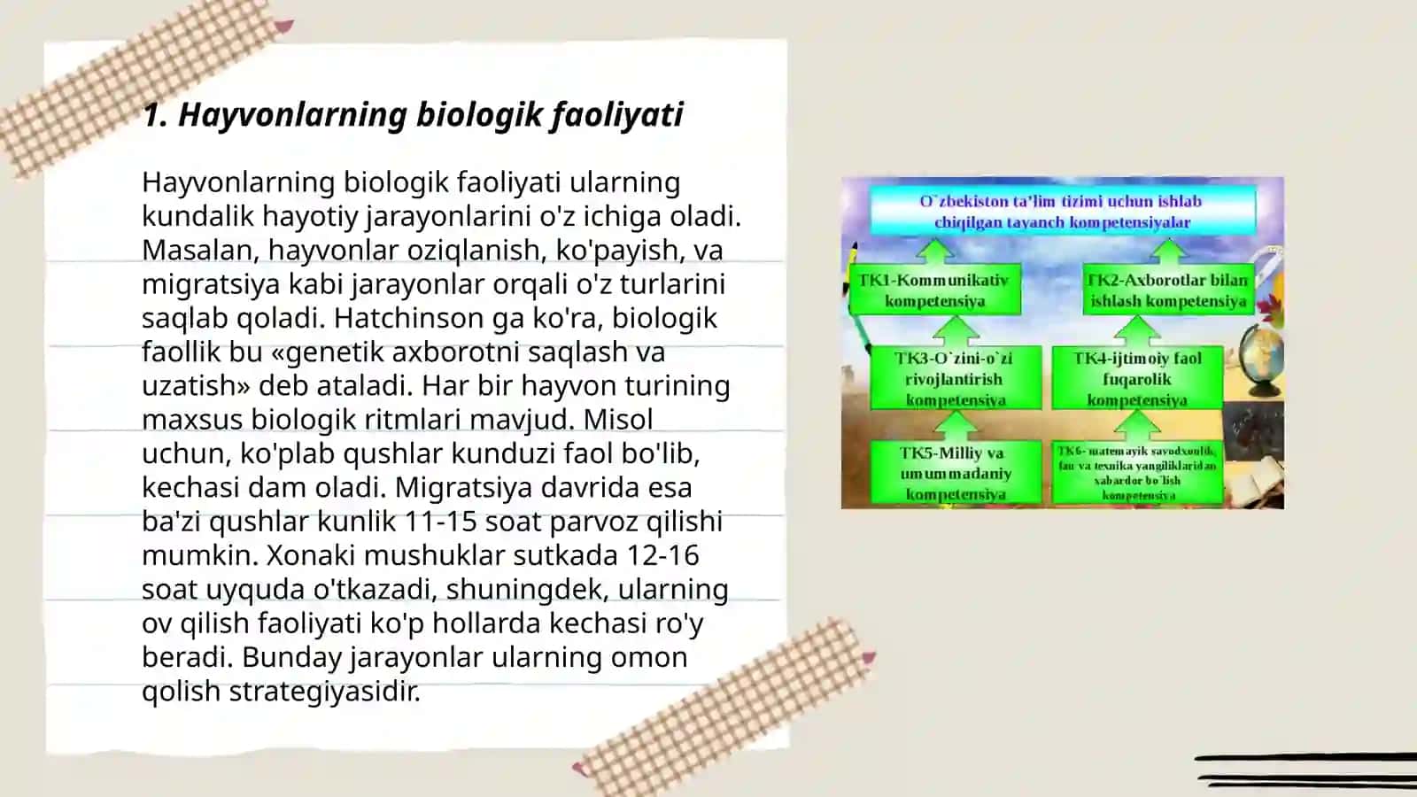 Hayvonlarda faoliyat tushunchasi 3