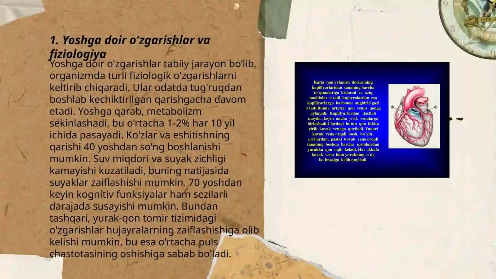 Qon tizimining yoshga doir fiziologiyasi va gigeynasi 3