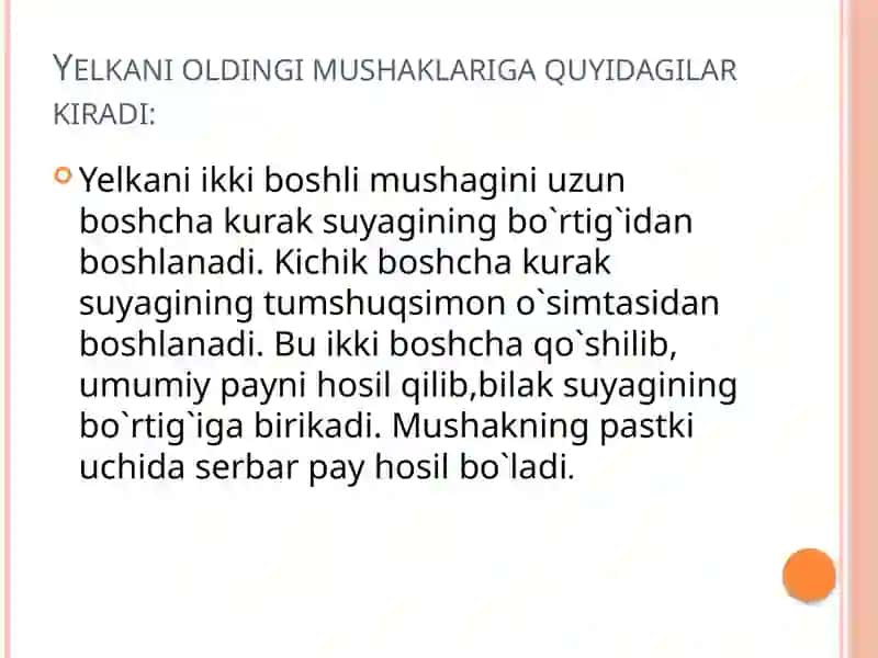 Yelka bilak va qol panja mushaklari va fastiyalari.qol topogirafiyasi 3