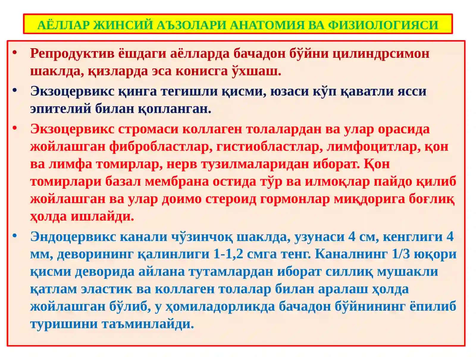 АЁЛЛАР ЖИНСИЙ АЪЗОЛАРИ АНАТОМИЯ ВА ФИЗИОЛОГИЯСИ 3