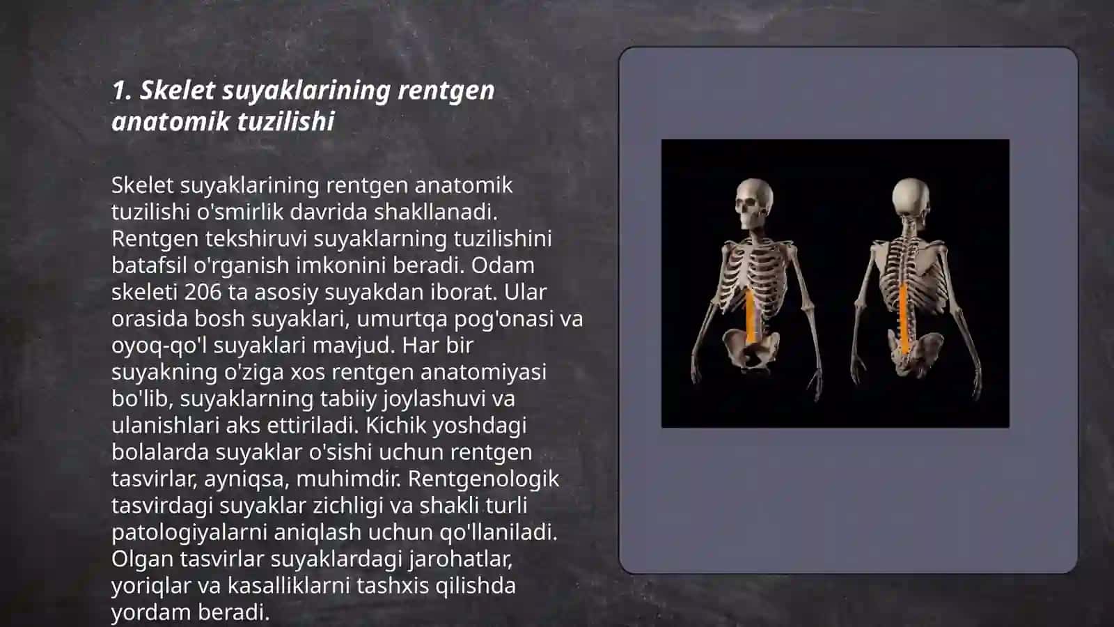 Skelet suyaklarning rentgenanatomiyasi 3