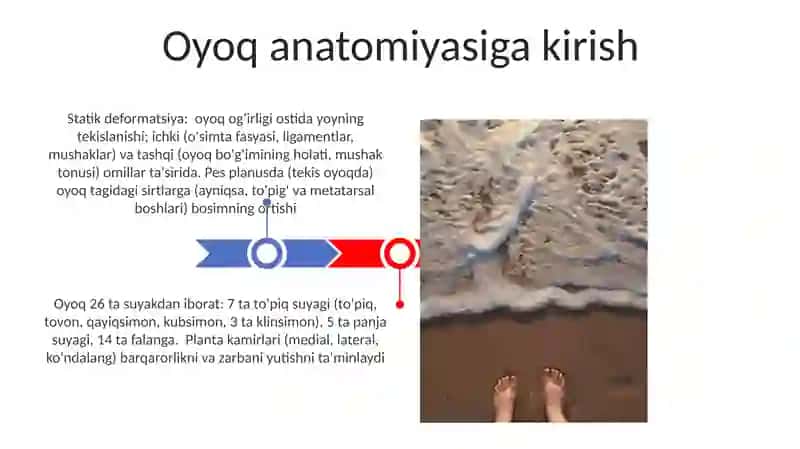 Oyoq panjalari statik deformatsiyasi 3