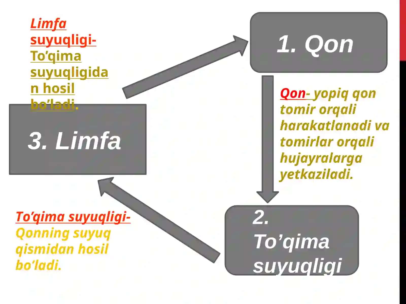 Gomeastaz. Organizmning biologik suquliklari.Qonning fizik-kimyoviy xossalari 3