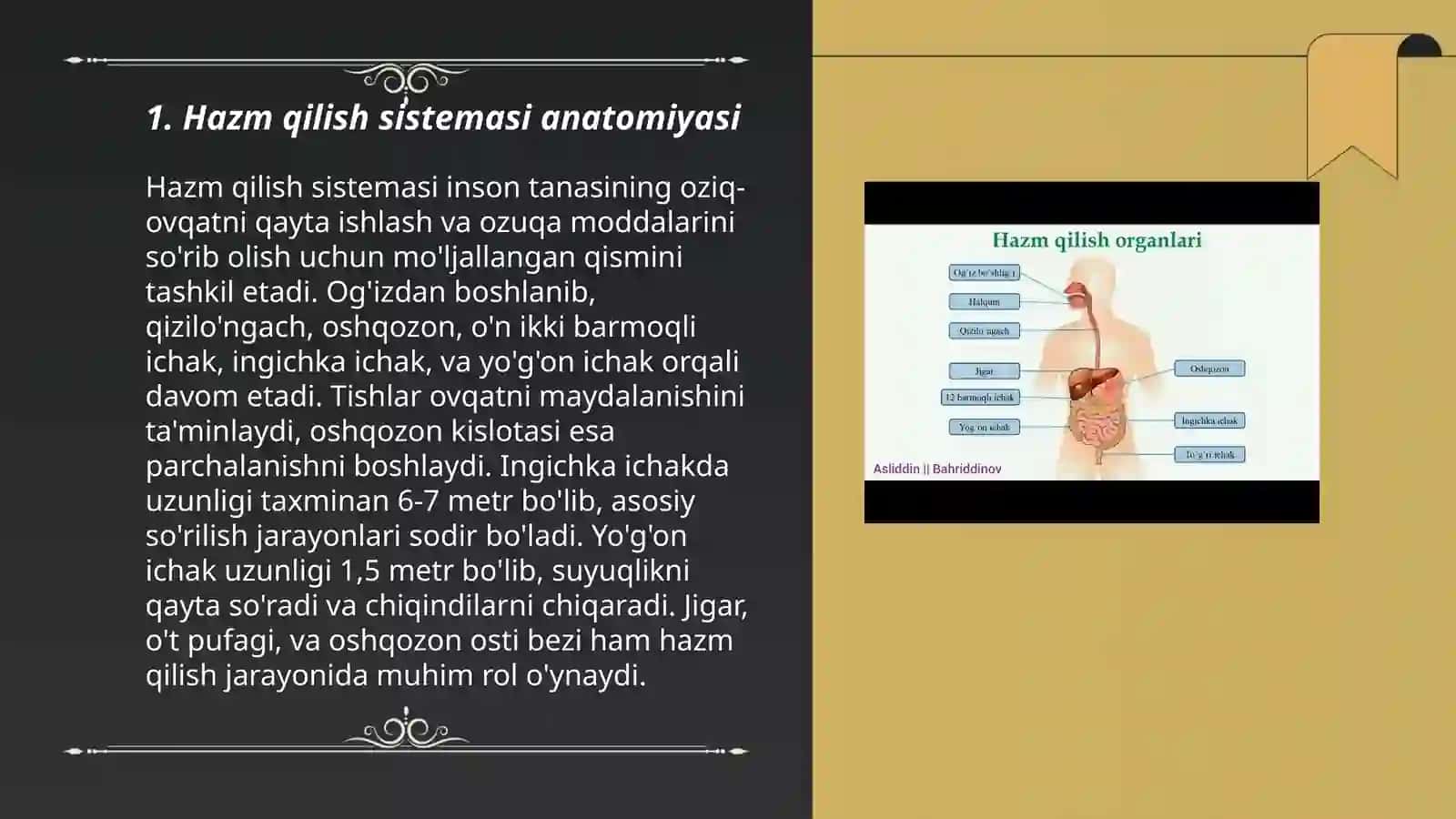 Hazm qilish sistemasi fiziologiyasi 3