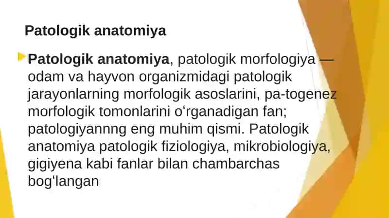PATOLOGIK ANATOMIYA 3
