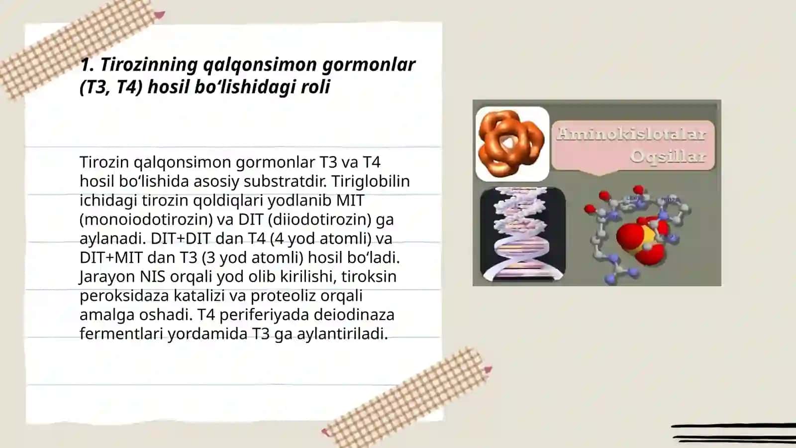 Alfa aminokislotalar kofermentlar gormonlar va vitaminlar 3
