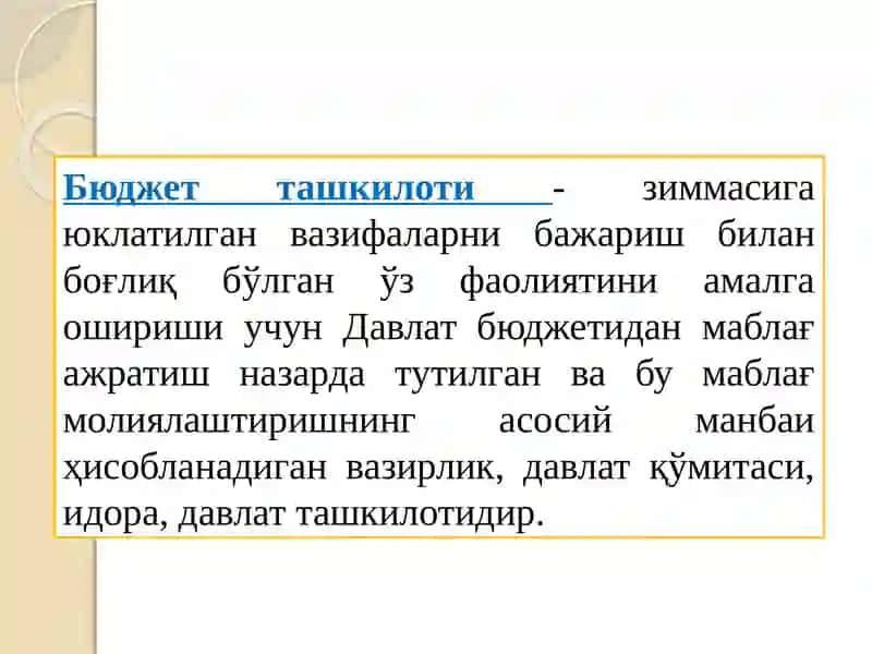 Byudjet tashkilotlarida Byudjet hisobining tashkiliy-uslubiy jihatlari 3