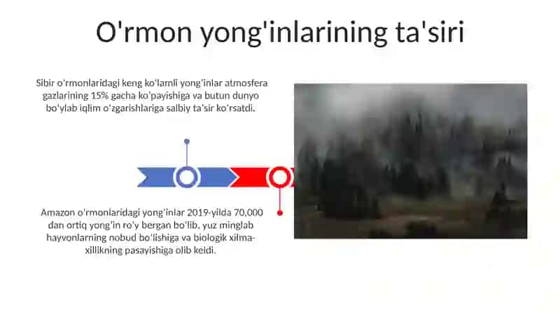 O'rmonlardagi Yong'inlar Muammosi 3