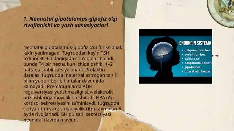 Ichki sekretsiya bezlarining yosh xususiyati va endokrin kasalliklari 3