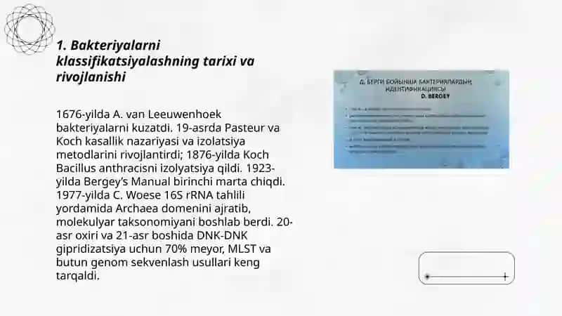 Bakteriyalarni klassifikatsiyasi toksonomiya va nomenklaturasi 3