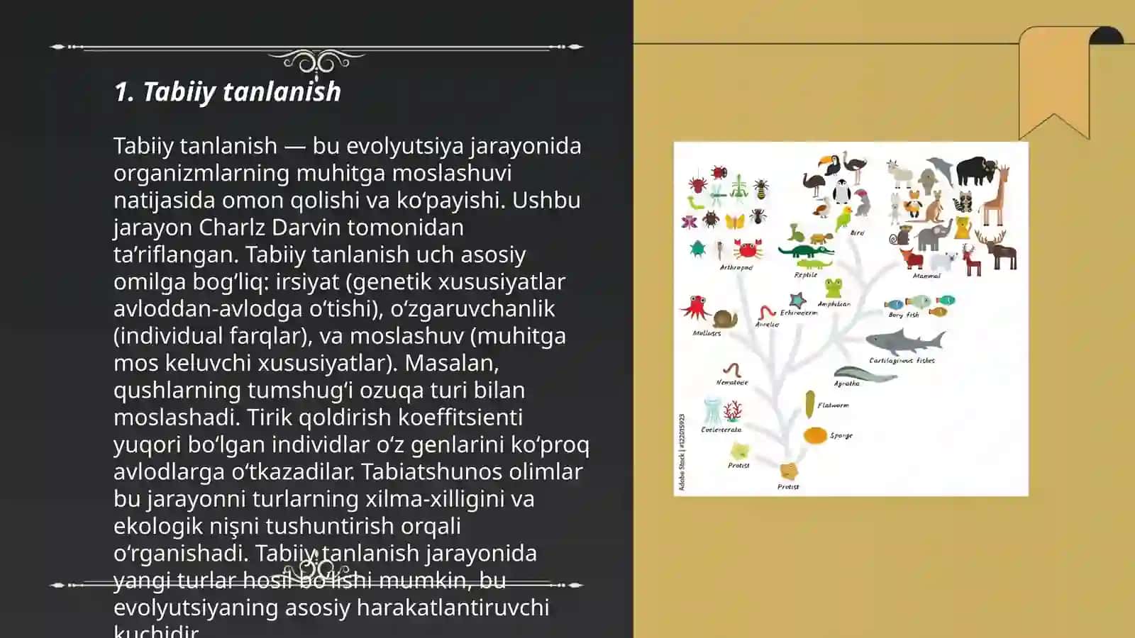 Evolutsion biologiya va biologik xilma-xillik 3