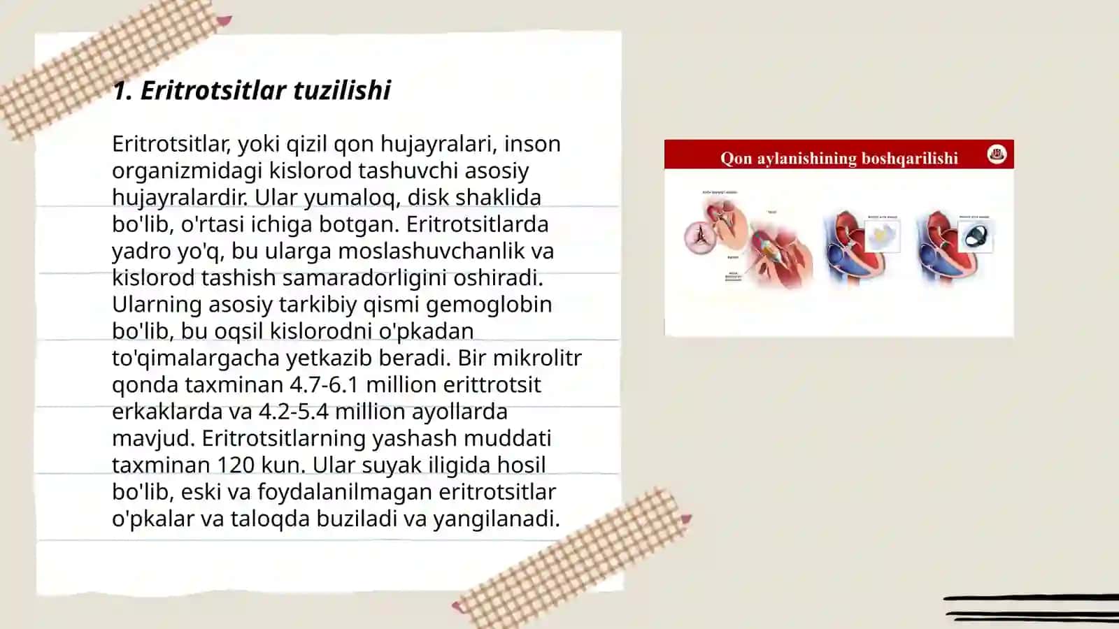 Eritrotsitlar, turlari funksiyalari 3